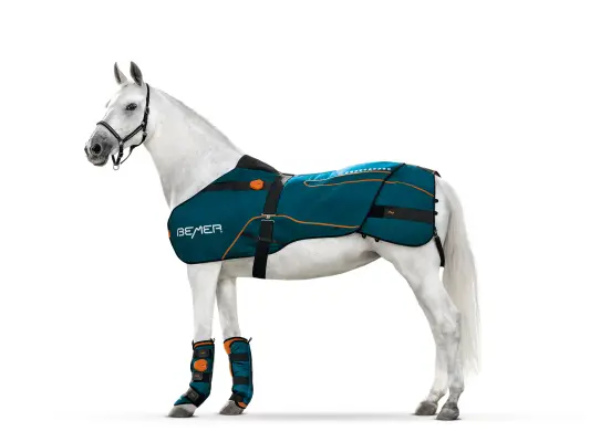 Bemer Horse Set para terapia viscular para caballos que puedes comprar a Noelia Otero - Bemer Partner